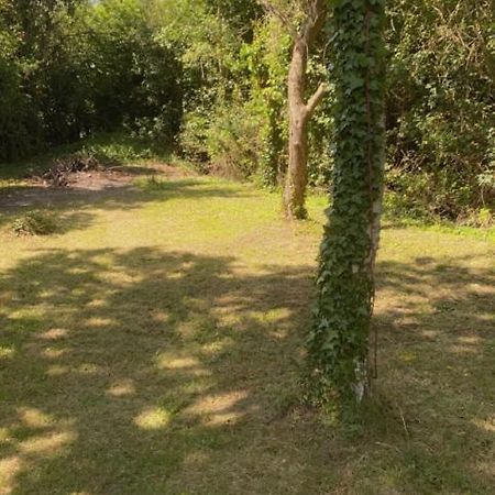 Stansted Glamping Broxted Exterior foto